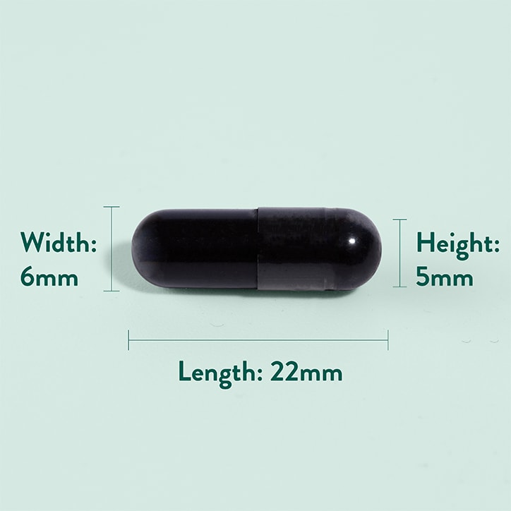 Holland & Barrett Activated Charcoal 120 Capsules